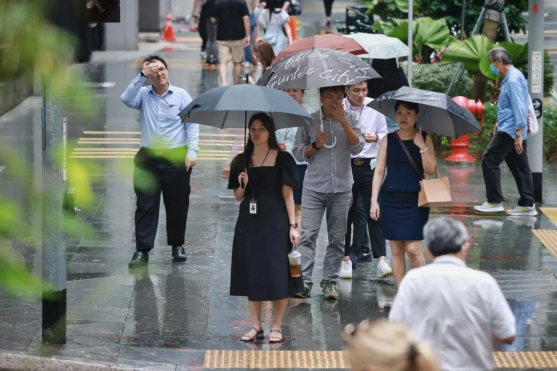 ST20230320_202373116596/pixgeneric/Jason Quah
Generic photo of office workers in rainy weather in the CBD on March 20, 2023. 
pmet, manpower, labour, jobs, economy, employment, wages, salary, rain, drizzle, wet weather, umbrella, 