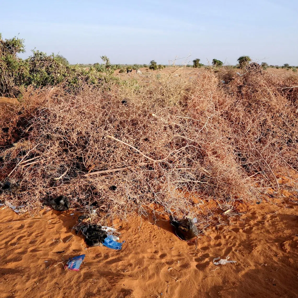 A burial site for the victims of a drone strike, in El Obeid, North Kordofan State, Sudan, January 14, 2026. REUTERS/El Tayeb Siddig