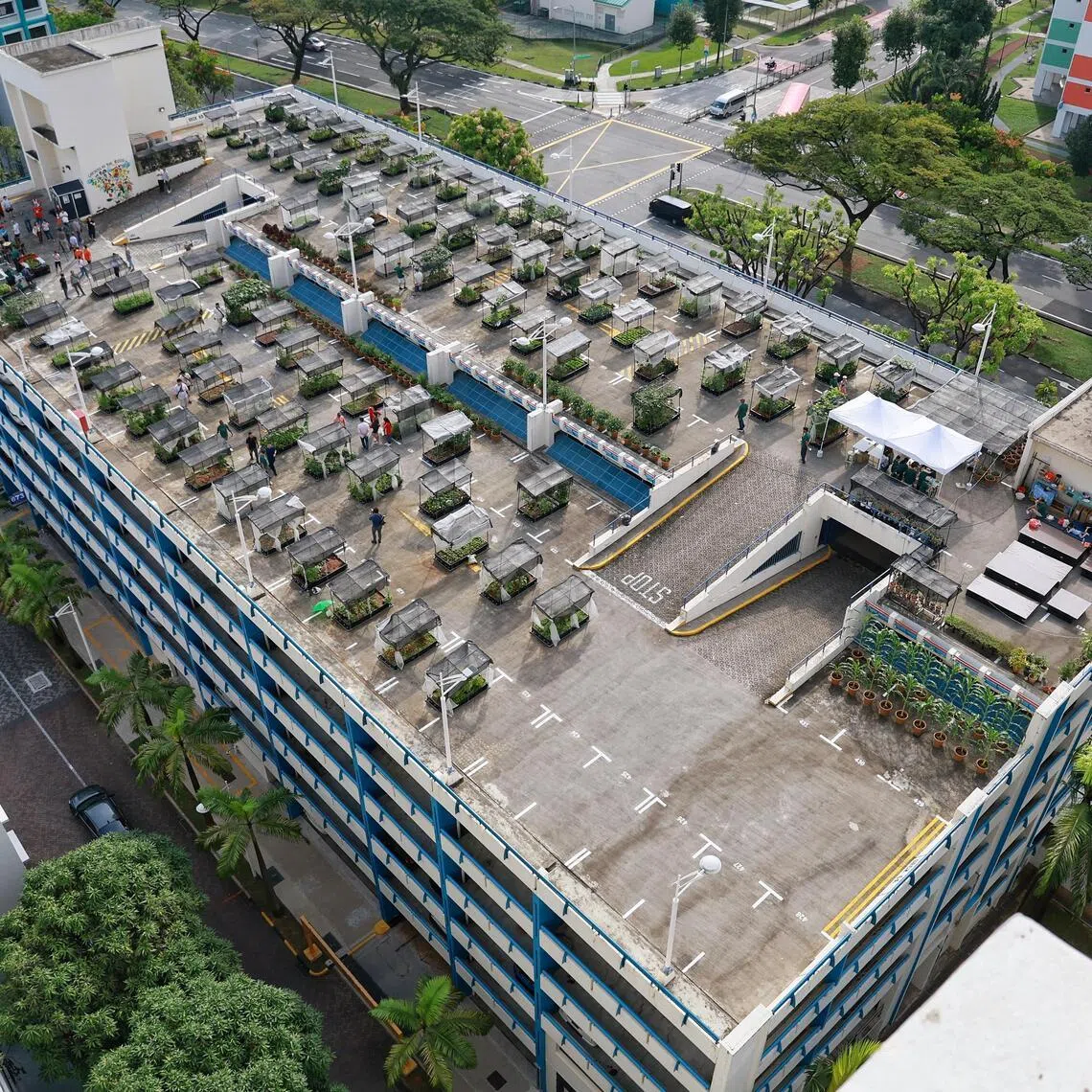 The first allotment garden completed under the HDB Green Towns Programme (GTP) on the rooftop of multi-storey carpark at 673 Jurong West Street 65 on June 25, 2023. ST PHOTO: KEVIN LIM gldesmond25