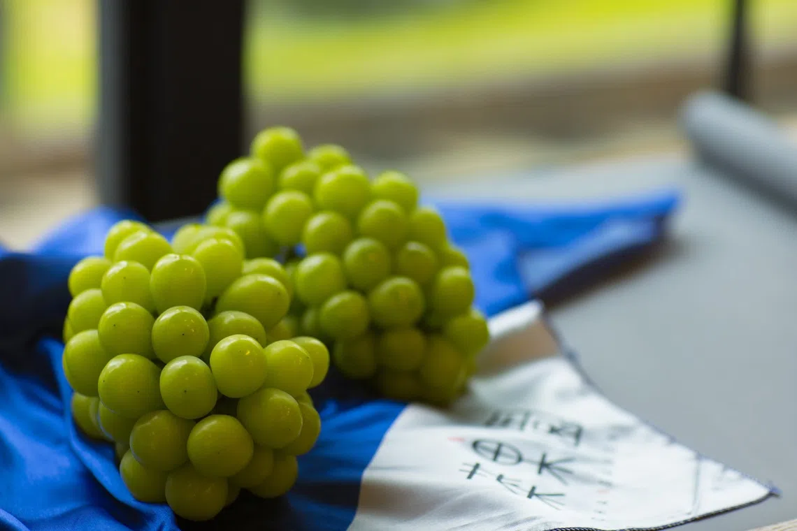 Man arrested over $11,000 grape theft in western Japan