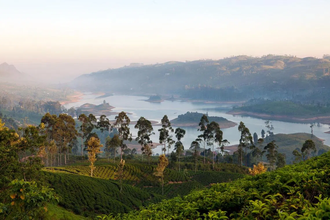ailanka03 - View of Castlereagh lake and the surrounding hills at Ceylon Tea Trails. 

Copyright: Resplendent Ceylon
