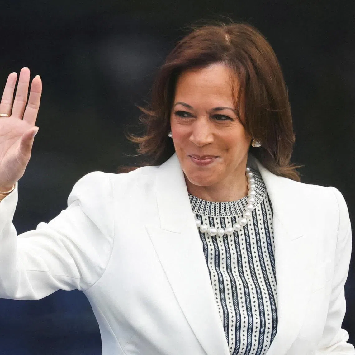 If former US vice-president Kamala Harris decides to run again for the White House in 2028, she would likely be among the most high-profile names in what is expected to be a crowded Democratic field.