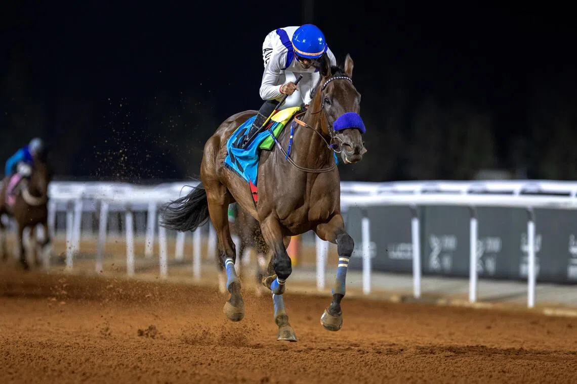 Thundersquall - Thundersquall (Adel Alfouraidi) leaving his rivals far behind in the Alshafa Cup (2,000m) in Taif on Aug 29.

PHOTO: JOCKEY CLUB OF SAUDI ARABIA