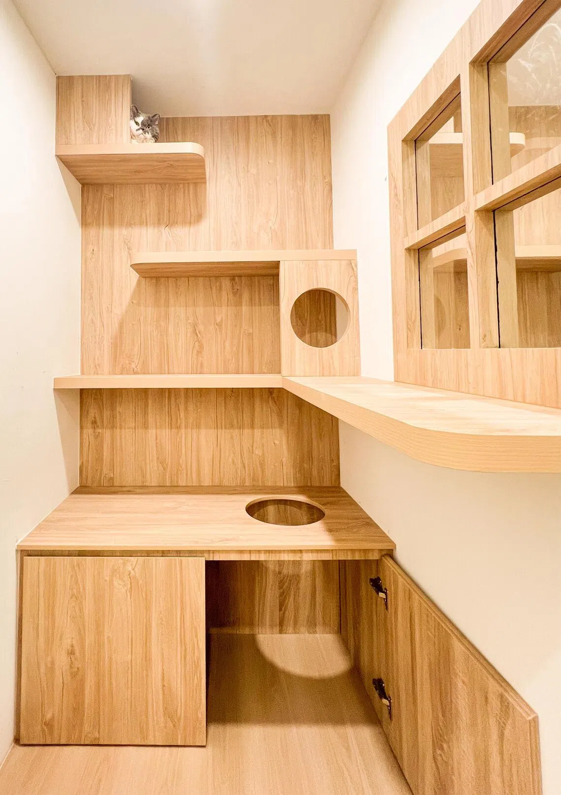 Neko Neko’s newest cat boarding facility in Holland Village has suites that can accommodate up to four cats from the same household.