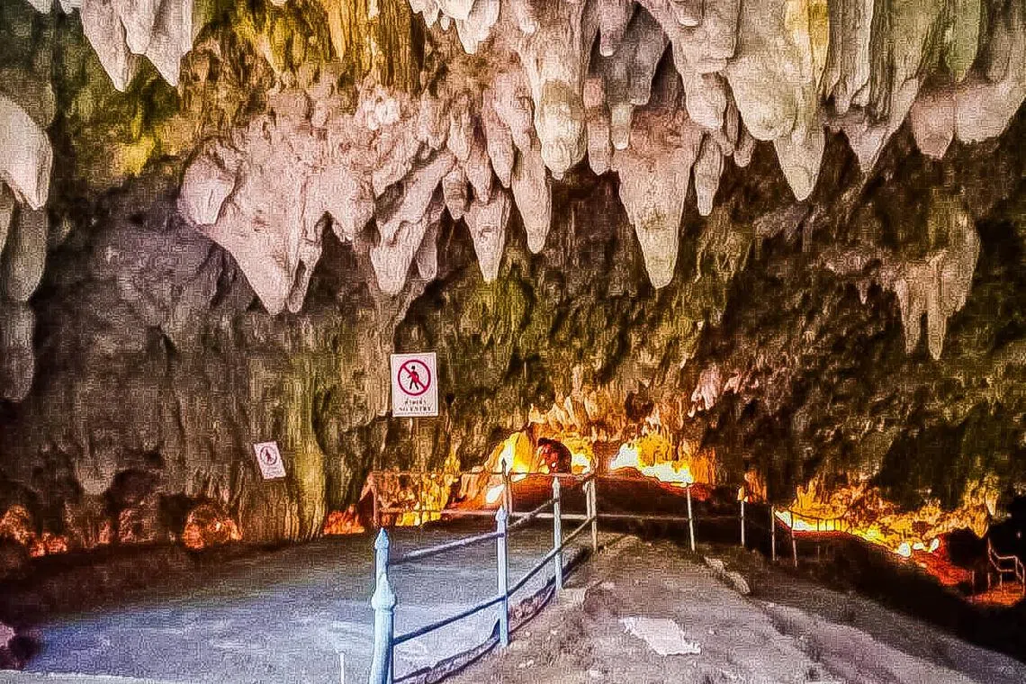 The cave trip costs 950 baht (S$36) per person for Thai tourists and 1,500 baht per person for foreign tourists.
