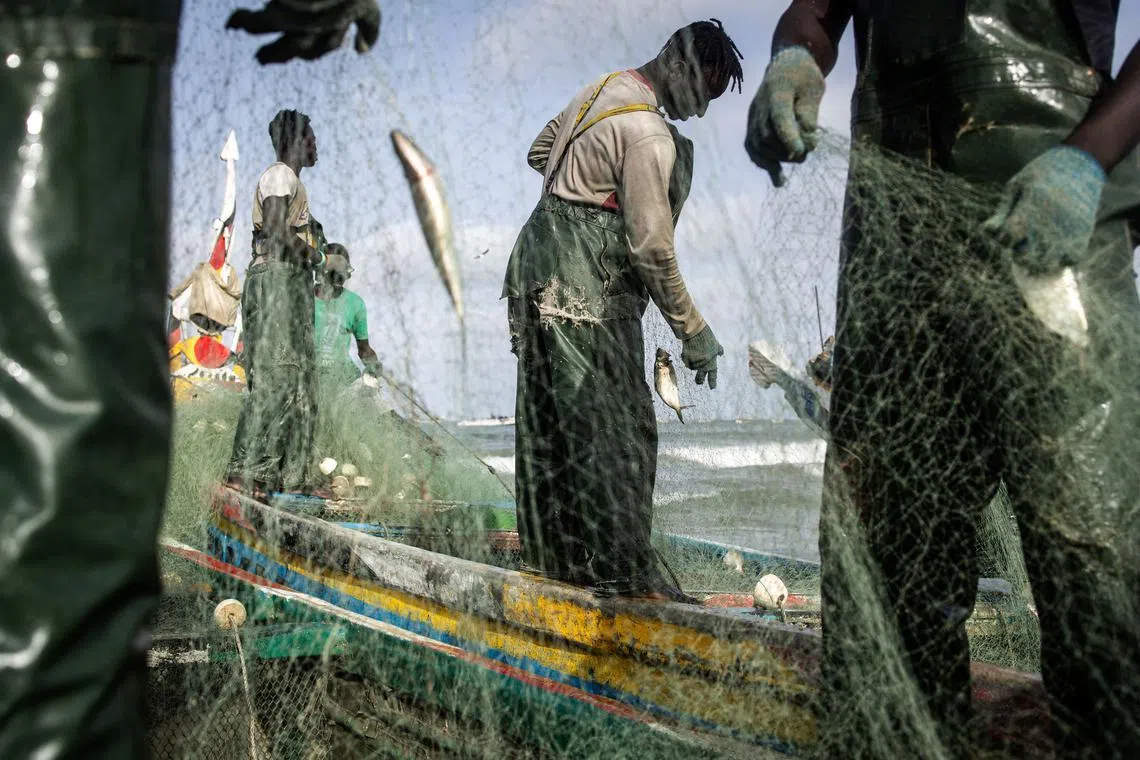 Fishermen offloading fish at a fishing port in Cap Skirring, Senegal, on May 16, 2024. 