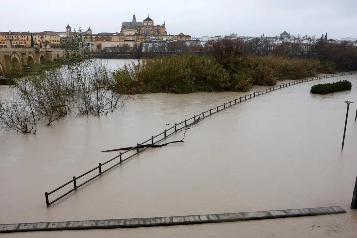 وطن نيوز – أبلغ المزارعون عن أضرار “كارثية” للمحاصيل بسبب العاصفة مارتا التي ضربت إسبانيا والبرتغال