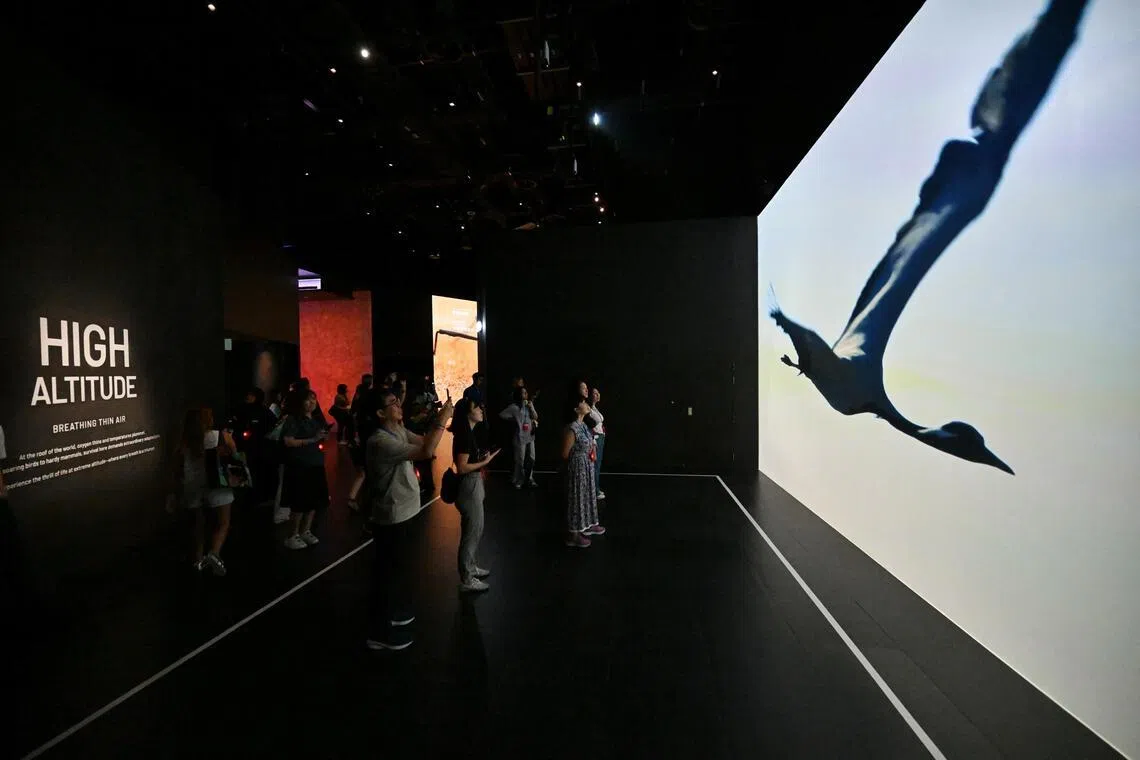 Members of the media watching a short video at the Bitdeer AI Extreme Frontiers world.