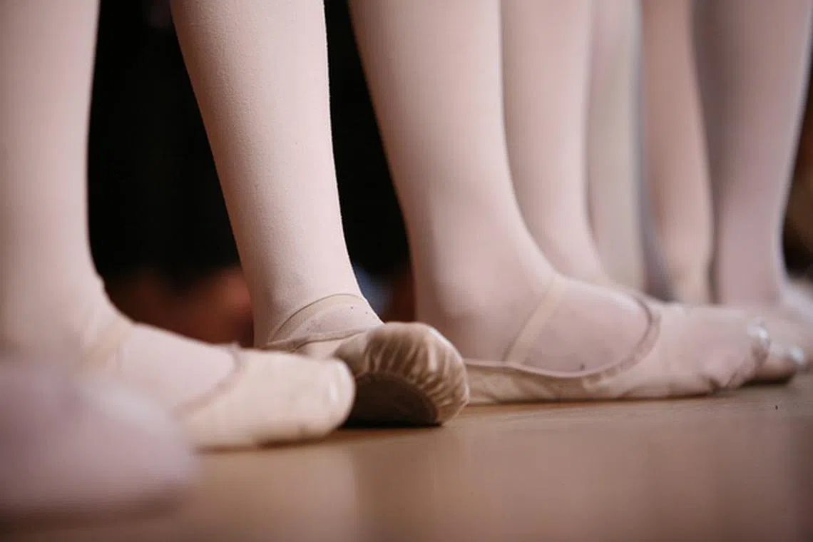 Ballet has become more popular among middle-aged and elderly women in Japan, with companies offering specially-tailored classes for them.
