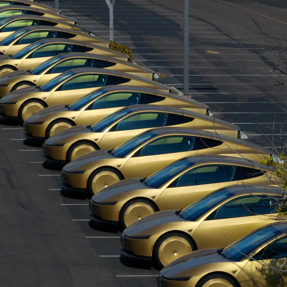 The gold-coloured vehicle can carry two passengers and marks the first Tesla car with no steering wheel or pedals.