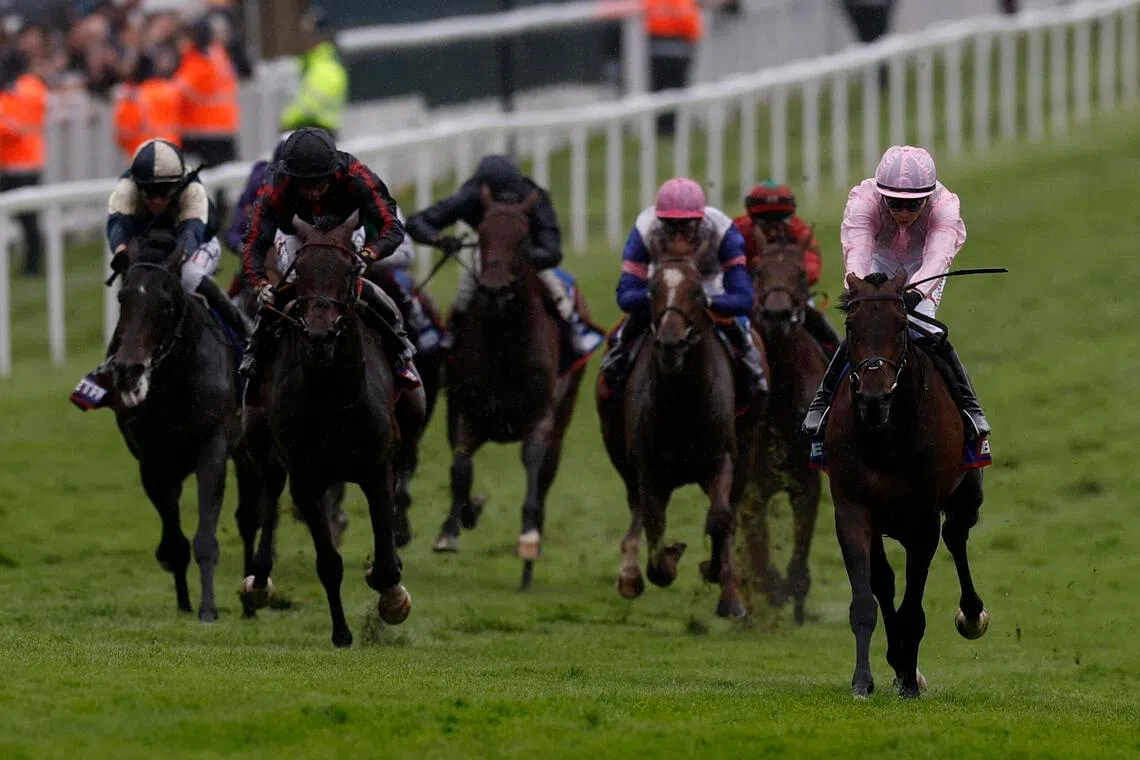 Horse Racing - The Epsom Derby - Epsom Downs Racecourse, Surrey, Britain - June 6, 2026
Christmas Day ridden by Ronan Whelan wins the 16:00 Betfred Derby Action Images via Reuters/Andrew Couldridge