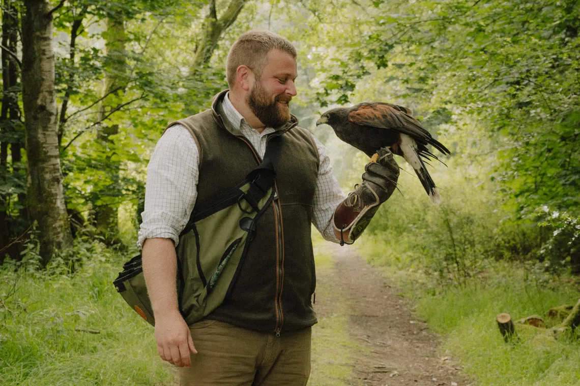 Falconer Richard Scot with a hawk on the estate at Gleneagles, a luxury hotel built in the manner of the great Scottish castles, in Auchterarder, Scotland.