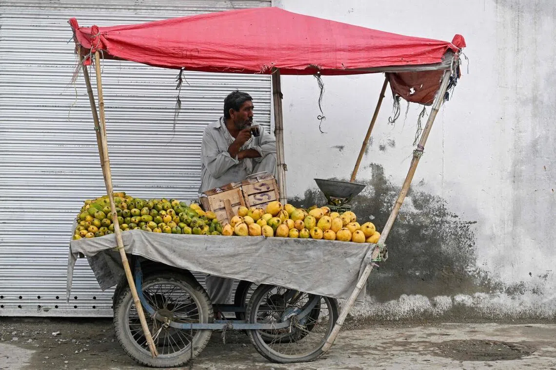 Pakistan’s mango exports shrink as Middle East war impacts linger