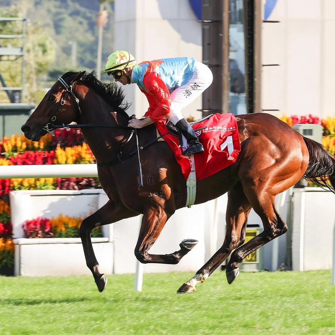 hk24 - Nov 23 HK racing.
PHOTO: HKJC
