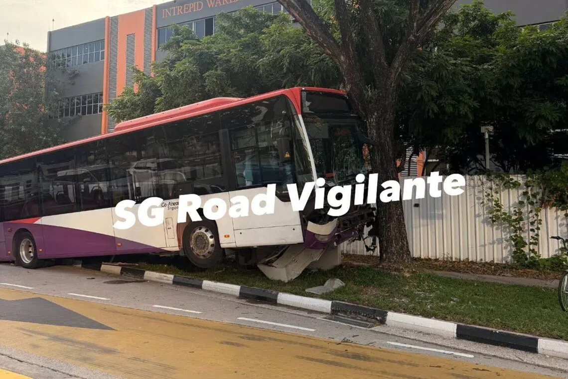 The bus driver and a passenger were taken conscious to hospital.