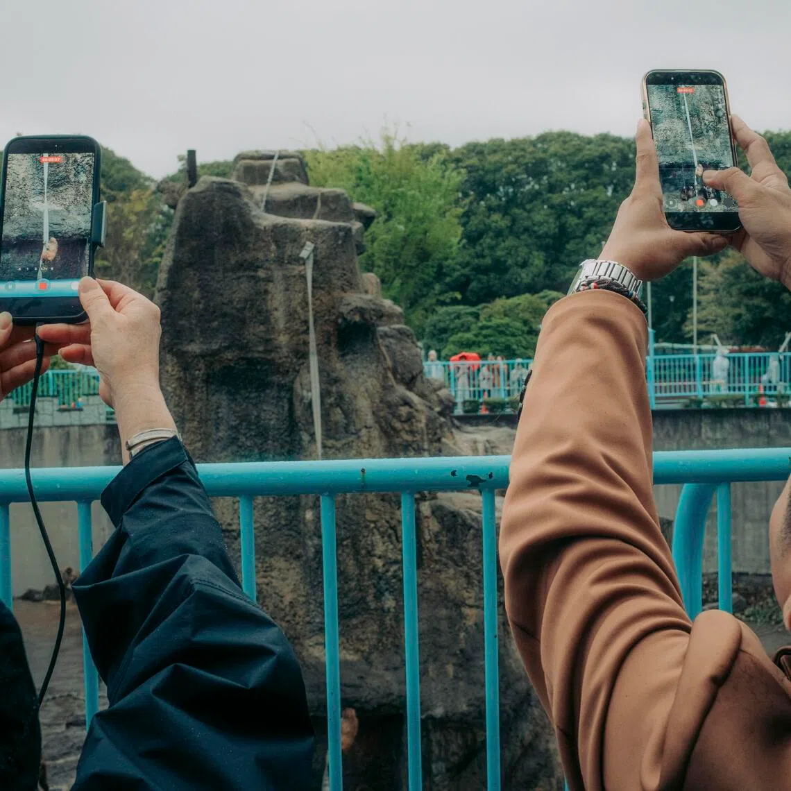 Visitors film Punch, a macaque monkey, in the monkey enclosure at Ichikawa City Zoo in Japan, on April 10, 2026.