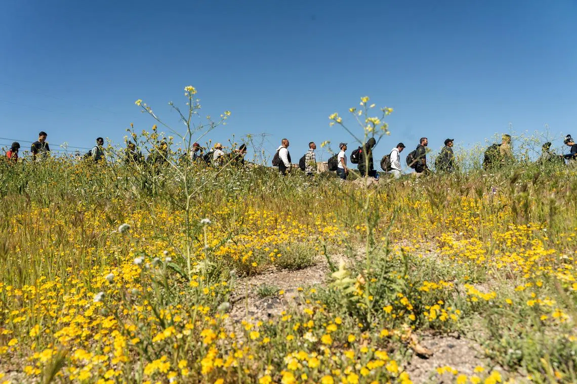 Asylum-seeking migrants line up near the border while waiting to be transported by the U.S. Border Patrol after crossing the border from Mexico into the U.S. in Jacumba Hot Springs, California, U.S. April 29, 2024.  REUTERS/Go Nakamura