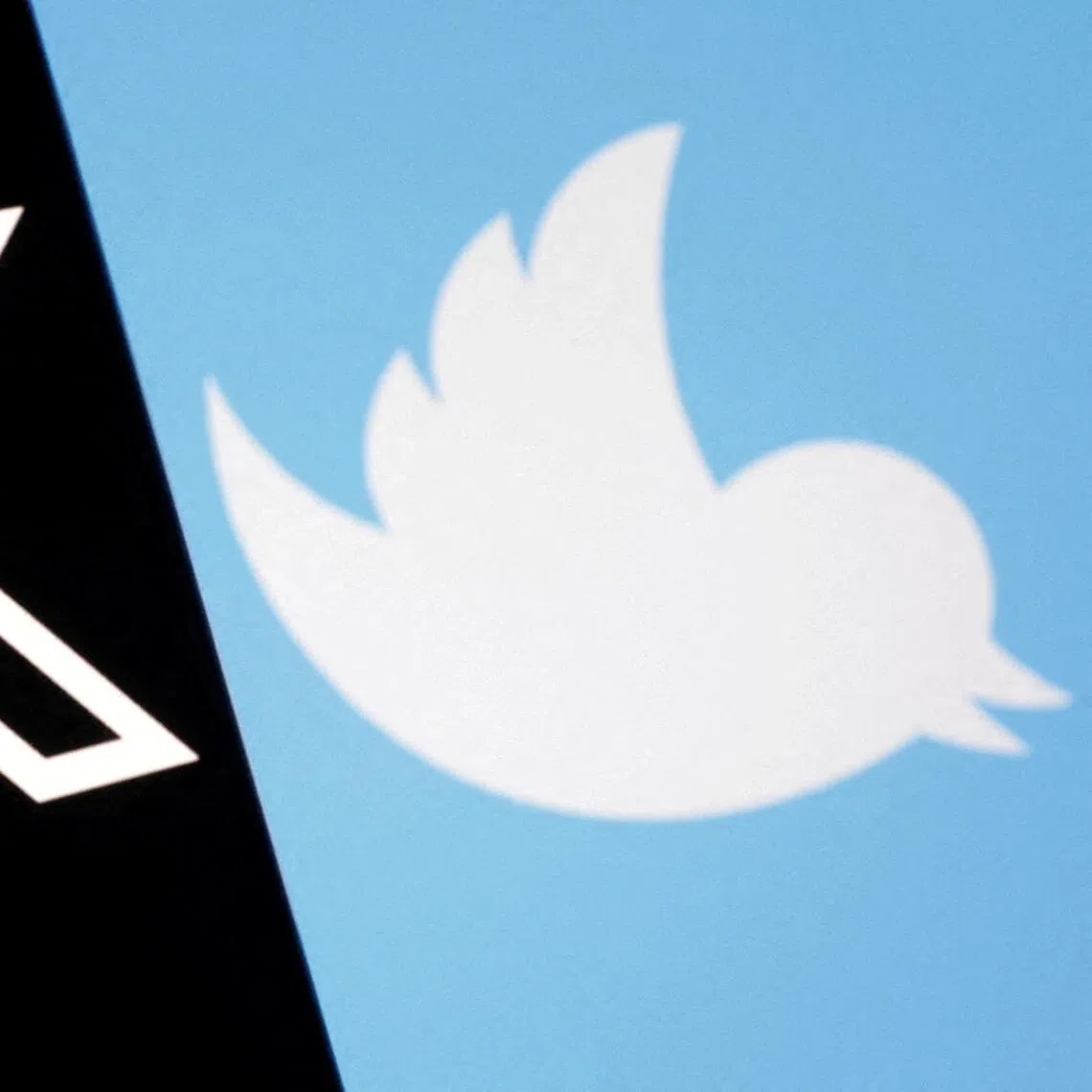 Startup Operation Bluebird wants to “bring Twitter back” as a new social media platform. Elon Musk renamed it as X after buying the platform in 2022.
