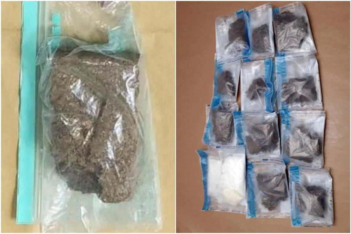 Some of the drugs seized by CNB during an islandwide operation conducted between Nov 6 and 11.