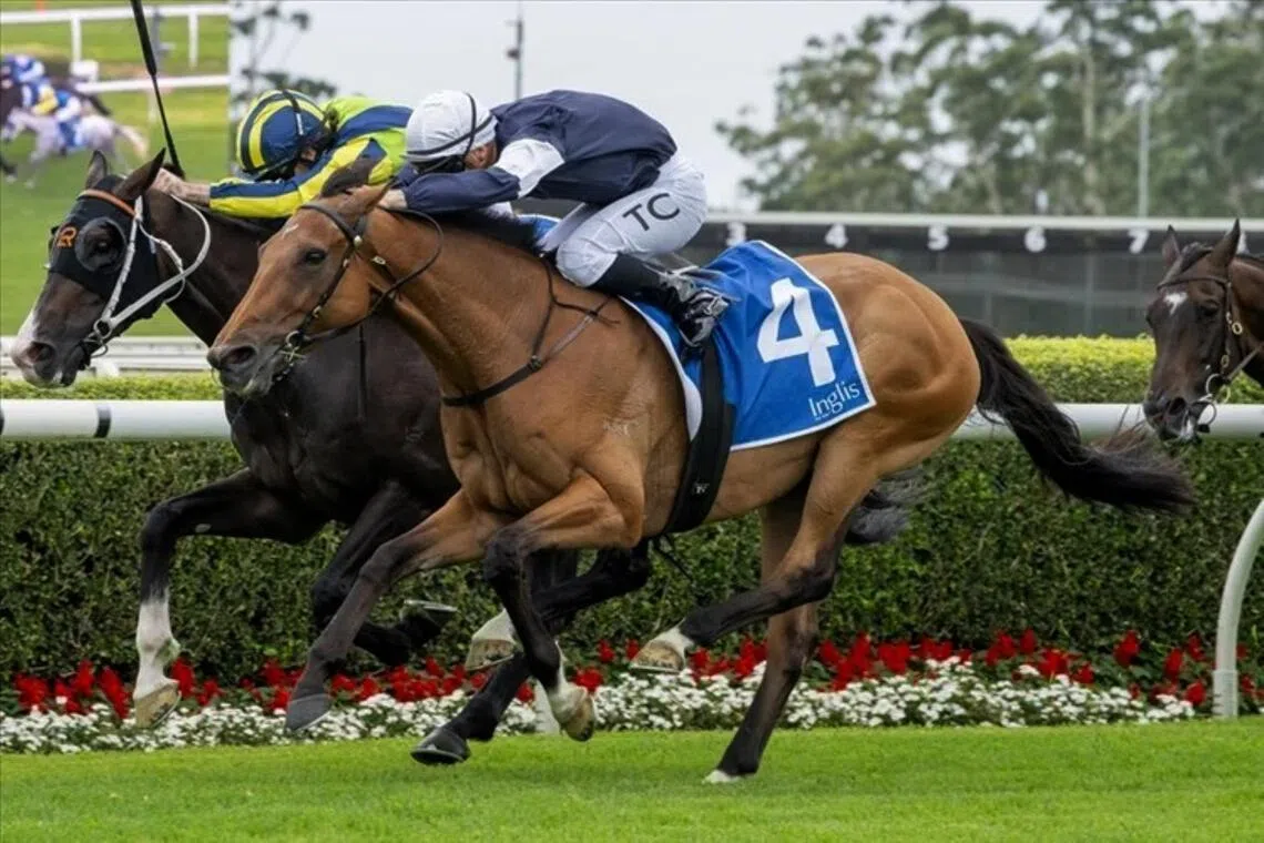 Australia Day brings out best of Newfoundland