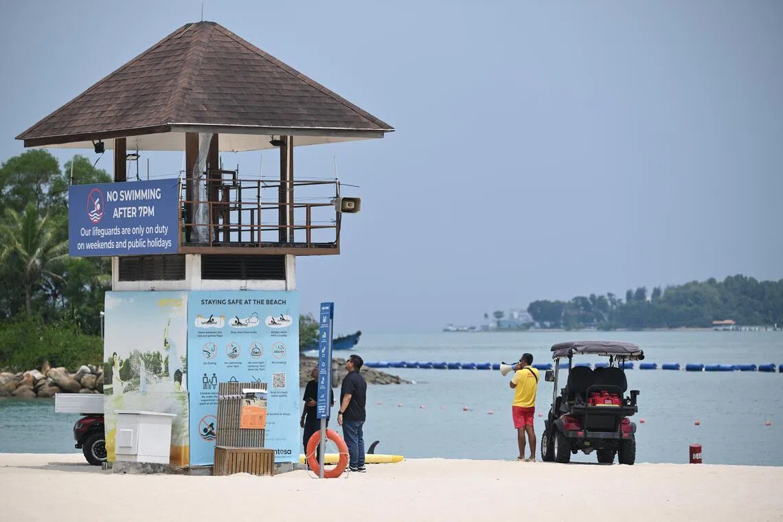 Crocodile spotted in waters off Sentosa Cove caught and euthanised ...