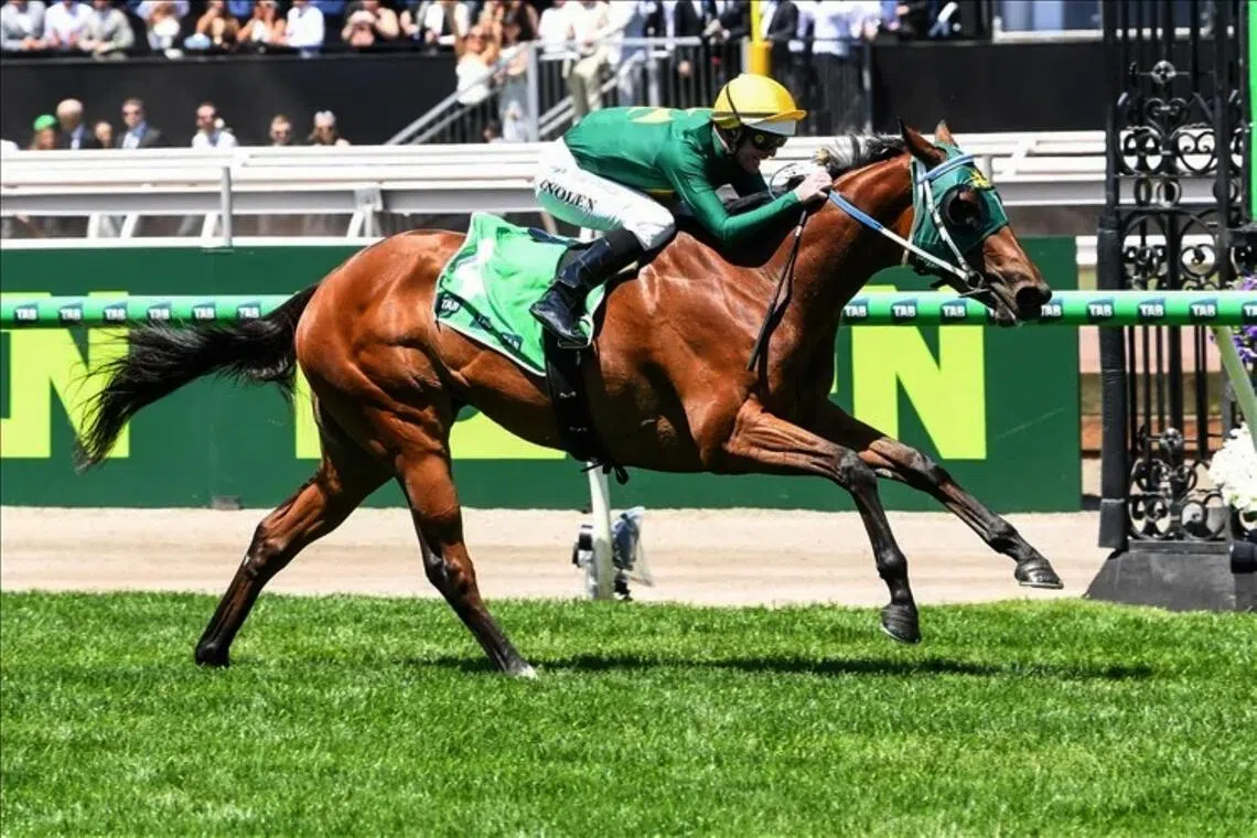 Sheza Alibi is bombproof and good to go