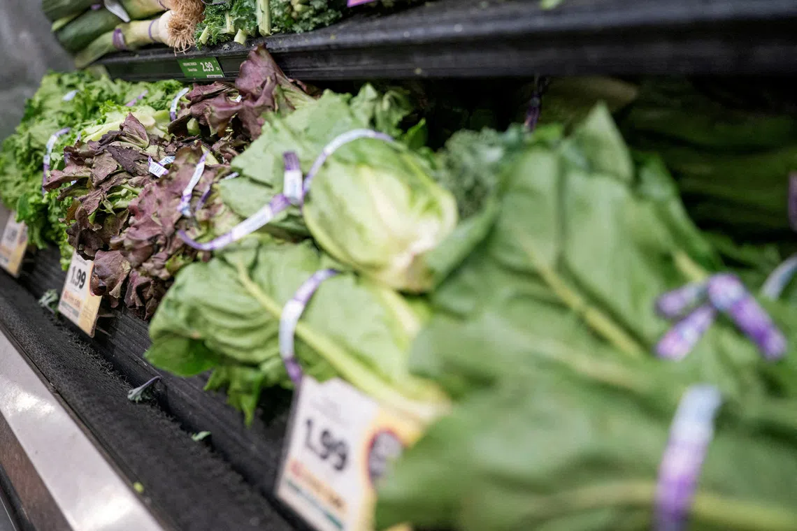Assortment of leafy green vegetables displayed on a dark shelf with price tags.
