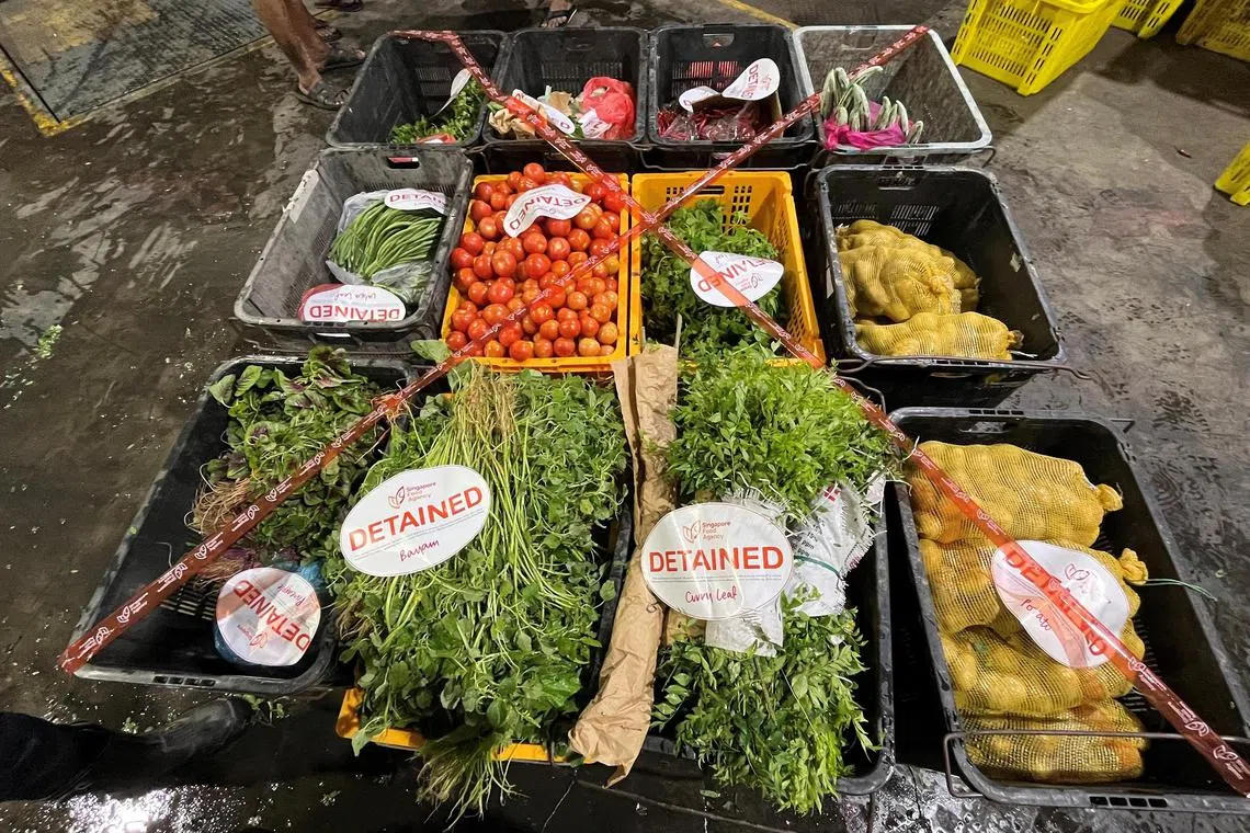 SFA found undeclared and under-declared produce such as bayam, tomato, lady finger and peeled hairy gourd.