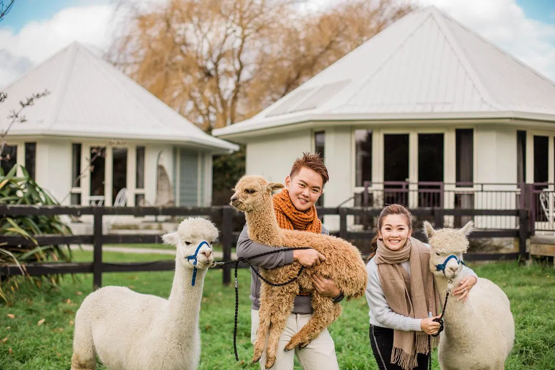 Exploring NZ with family 