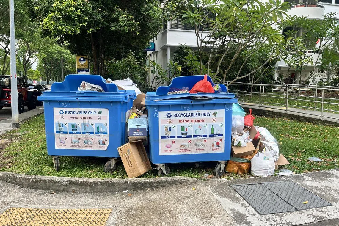 The writer, who moved back into her apartment in Tiong Bahru in April, was shocked to see how the neighbourhood had become something of a dump.