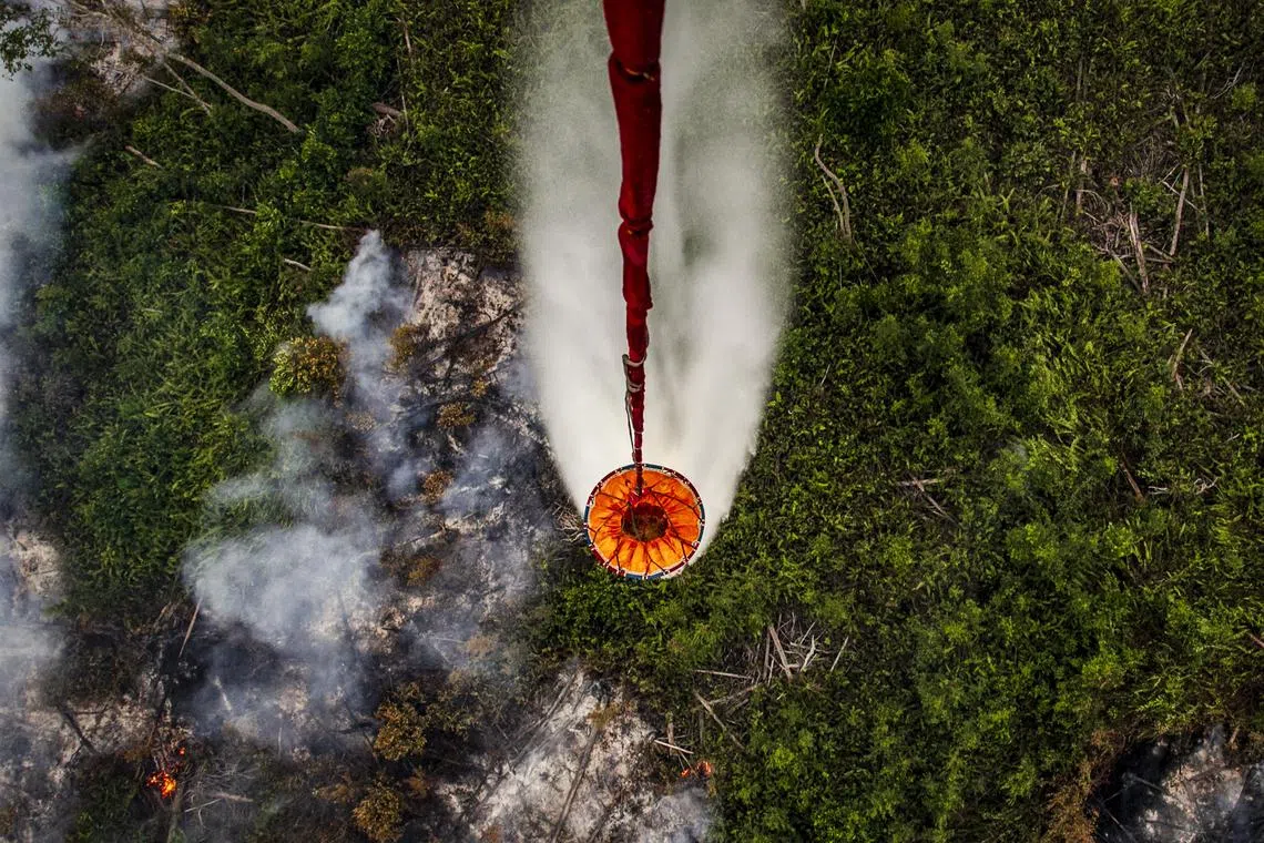 Forest fires, however, may pose bigger challenges to put out, as forests are more isolated and difficult to access. 