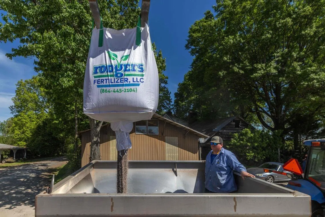 Shortages typically lead to reduced fertiliser use and lower yields, rather than changes in harvesting time.