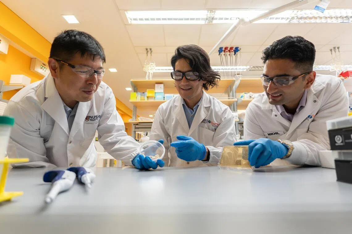 S’pore researchers ‘programme’ good gut bacteria to stop liver toxins ...