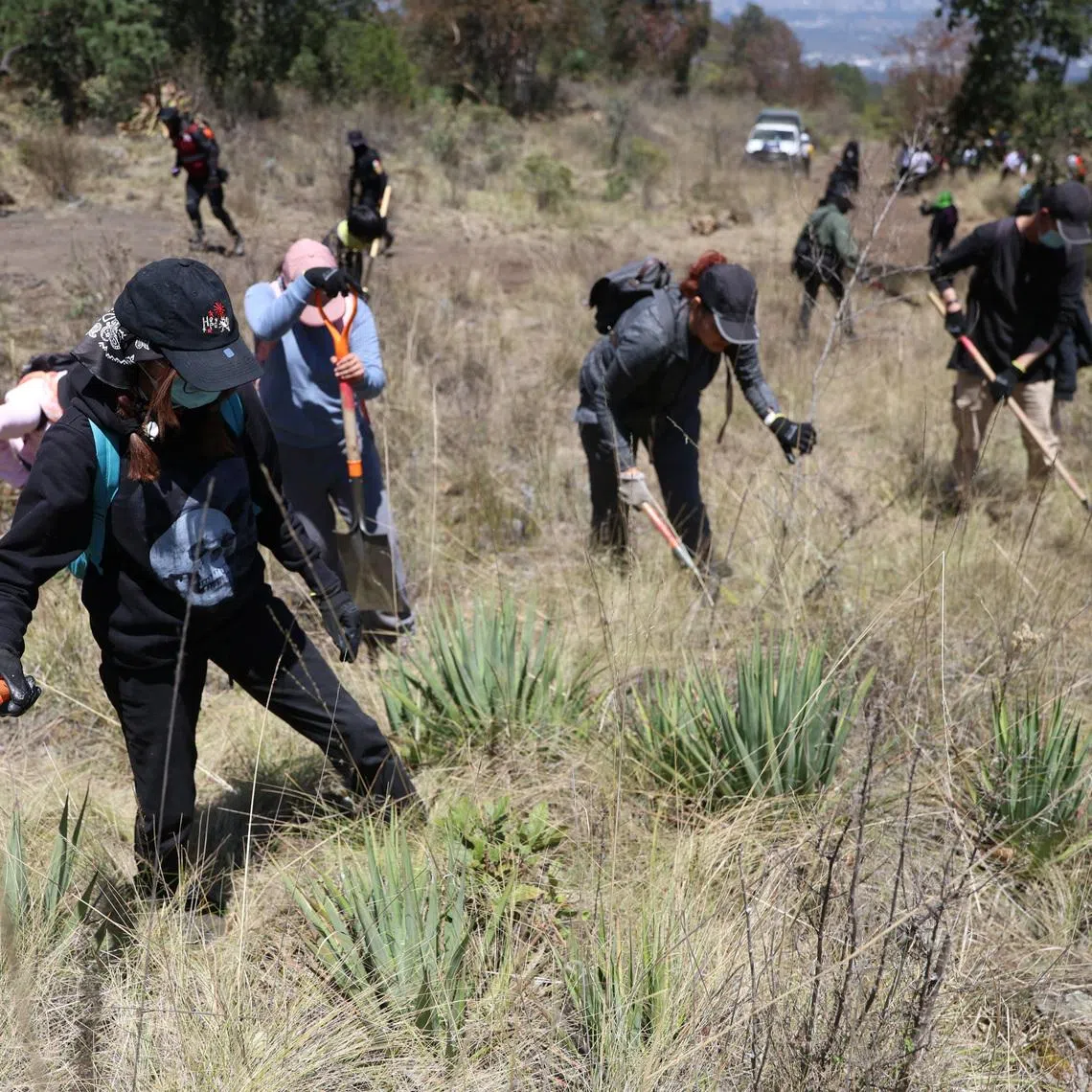 Members of the missing‑persons collective Hasta Encontrarles carry out searches in El Ajusco National Park, after Marcela Figueroa, head of Mexico’s National Public Security System said authorities had potentially identified more than 40,000 people previously listed as disappeared who may still be alive by cross‑referencing official databases, including tax records and marriage registries, in Mexico City, Mexico, March 27, 2026.REUTERS/Luis Cortes