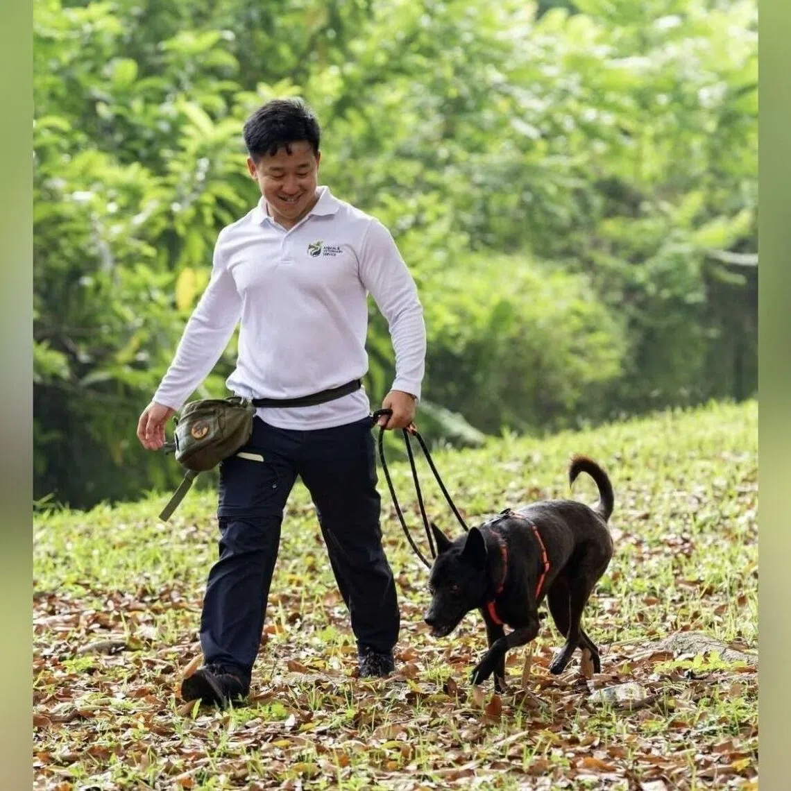 Paws In The City will be held at the Guoco Tower Urban Park in Tanjong Pagar from 11am to 8pm.