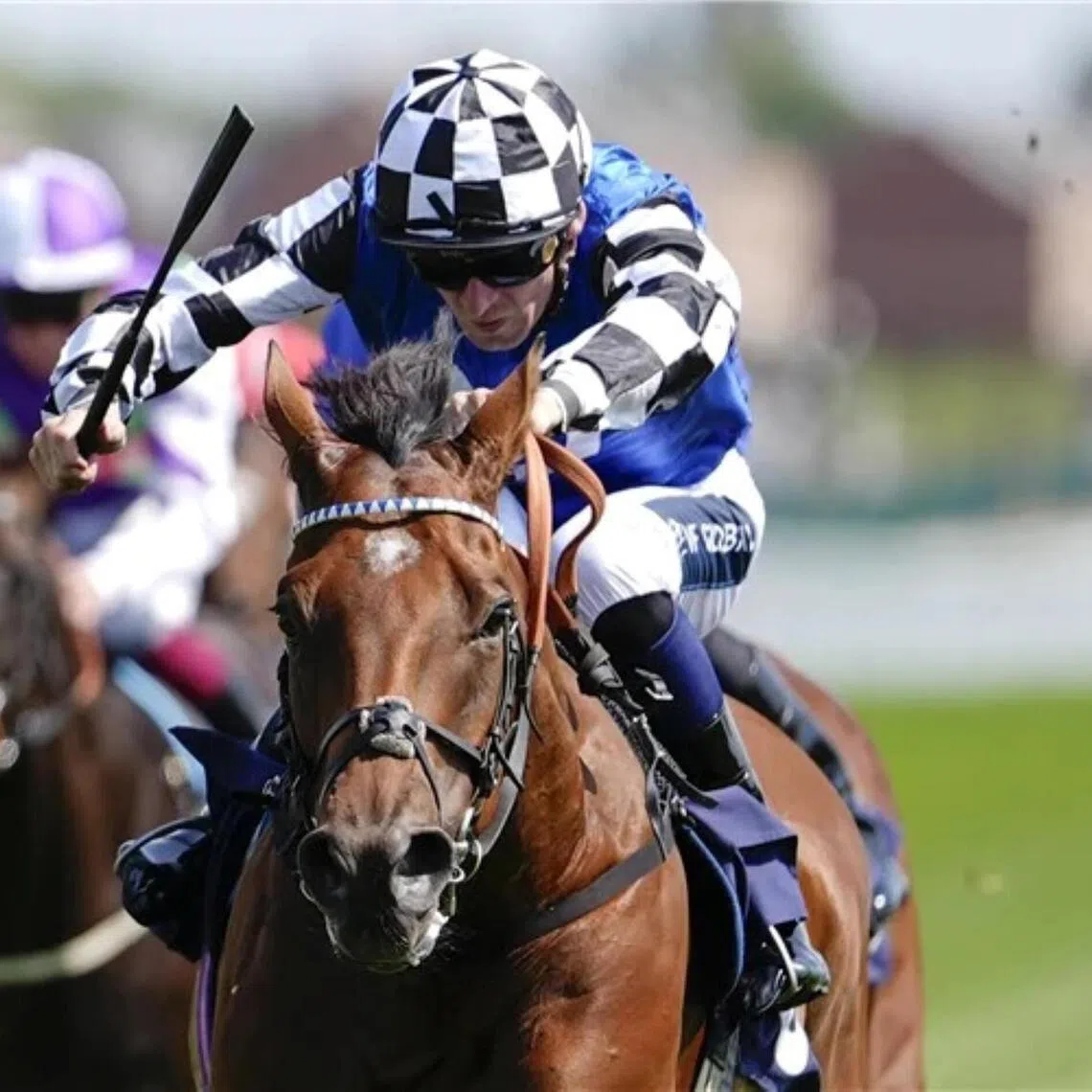 Wine Dark Sea - Wine Dark Sea

PHOTO:  RACING AND SPORTS