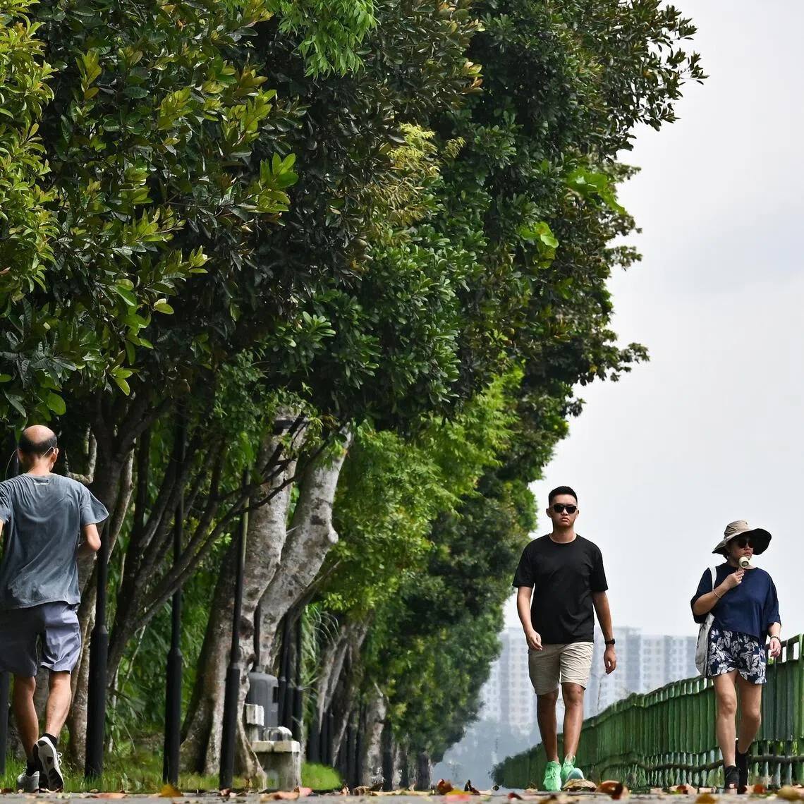 The LumiHealth app was launched in October 2020. 