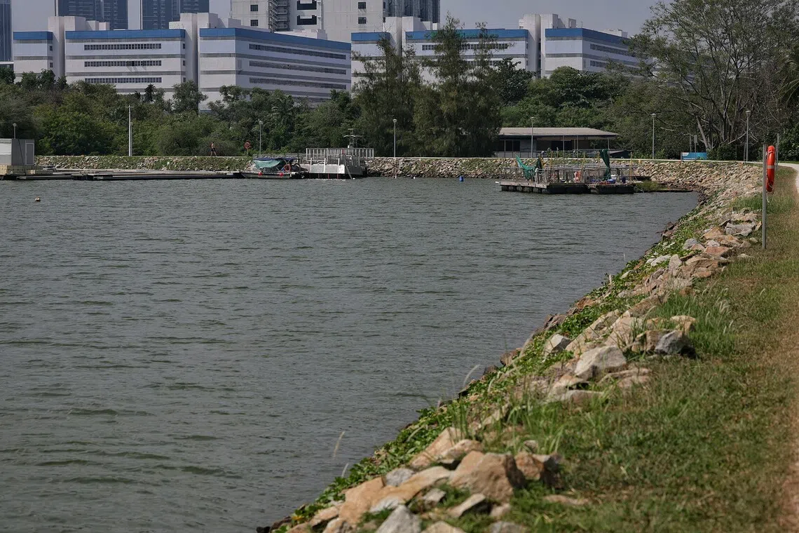 Water activities remain suspended at Pandan Reservoir on Aug 21, after a crocodile sighting on Aug 20.