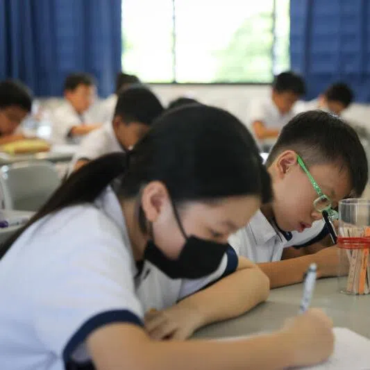 Fifteen per cent of Primary School Leaving Examination (PSLE) questions are classified as “challenging” each year.