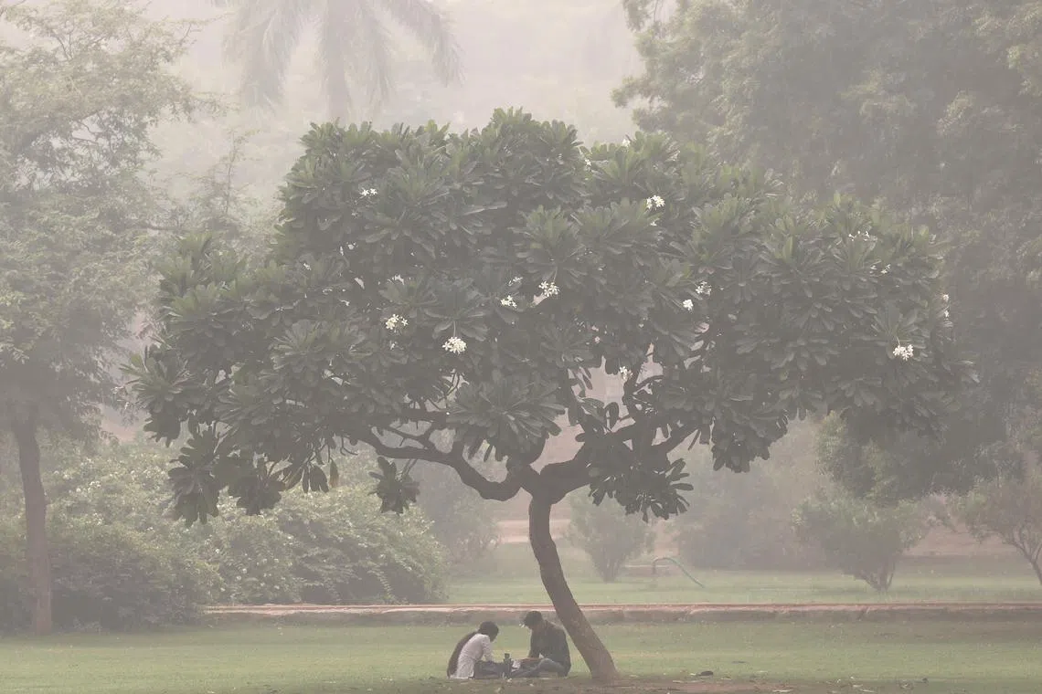 Indian people sitting under a tree as the city is engulfed in heavy smog at Humayun's Tomb in New Delhi, India, Nov 4, 2023. 