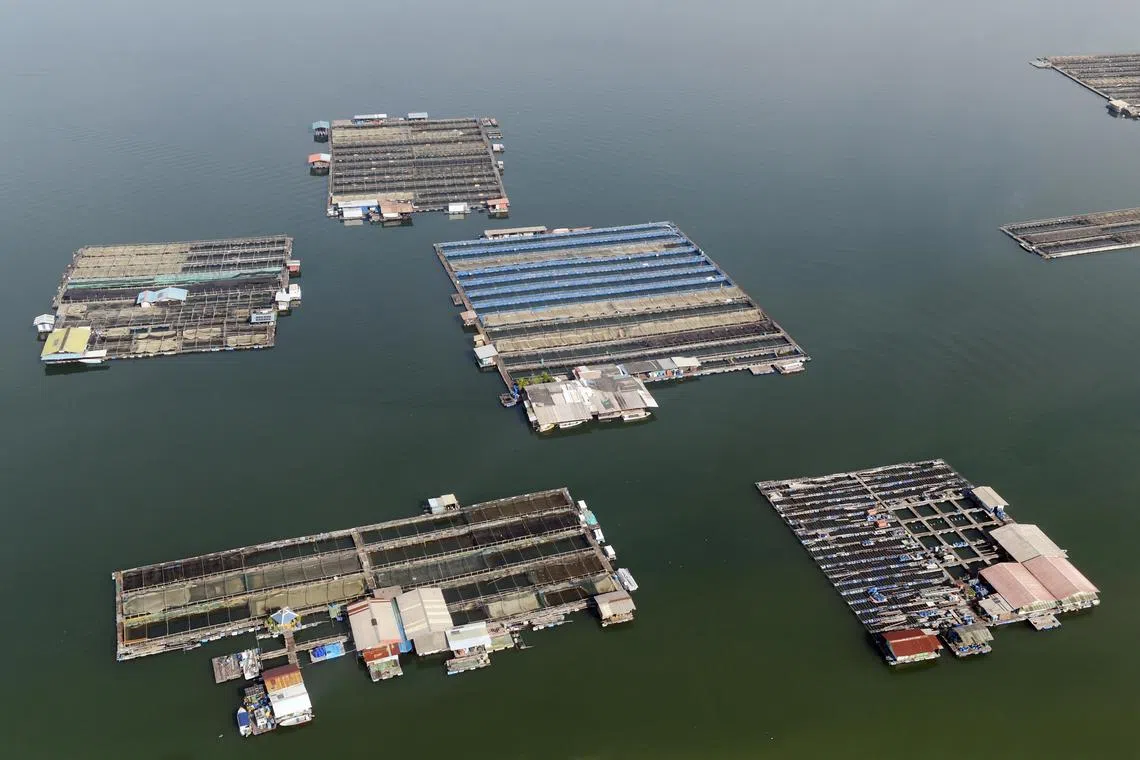The floating fish farms in the Strait of Johor off the north-western coast of Singapore. 