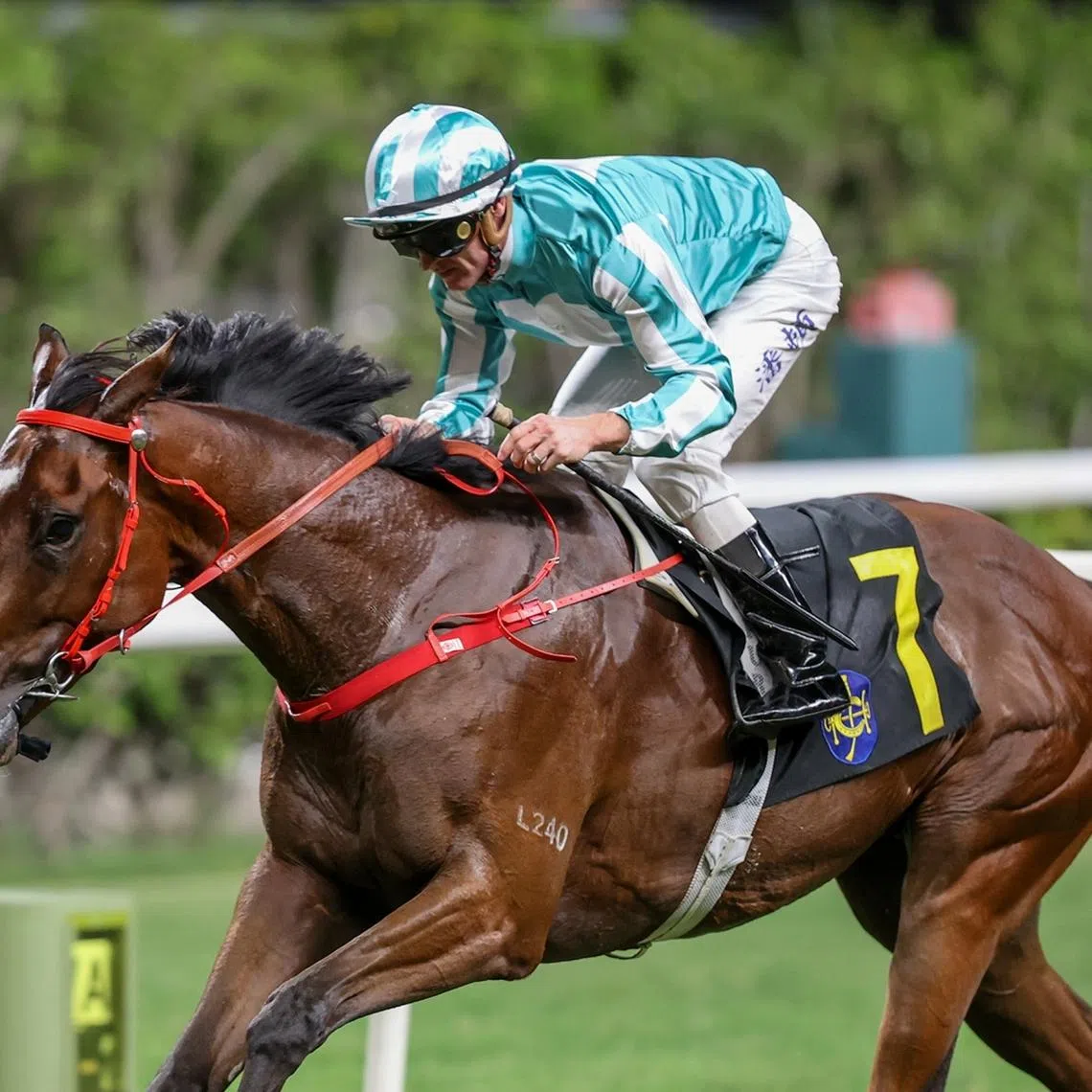 Romantic Gladiator (Zac Purton), who races in the same colours as world champion Romantic Warrior, opening his account at his fith start which came in a Class 3 race over 1,650m at Happy Valley on May 13. 