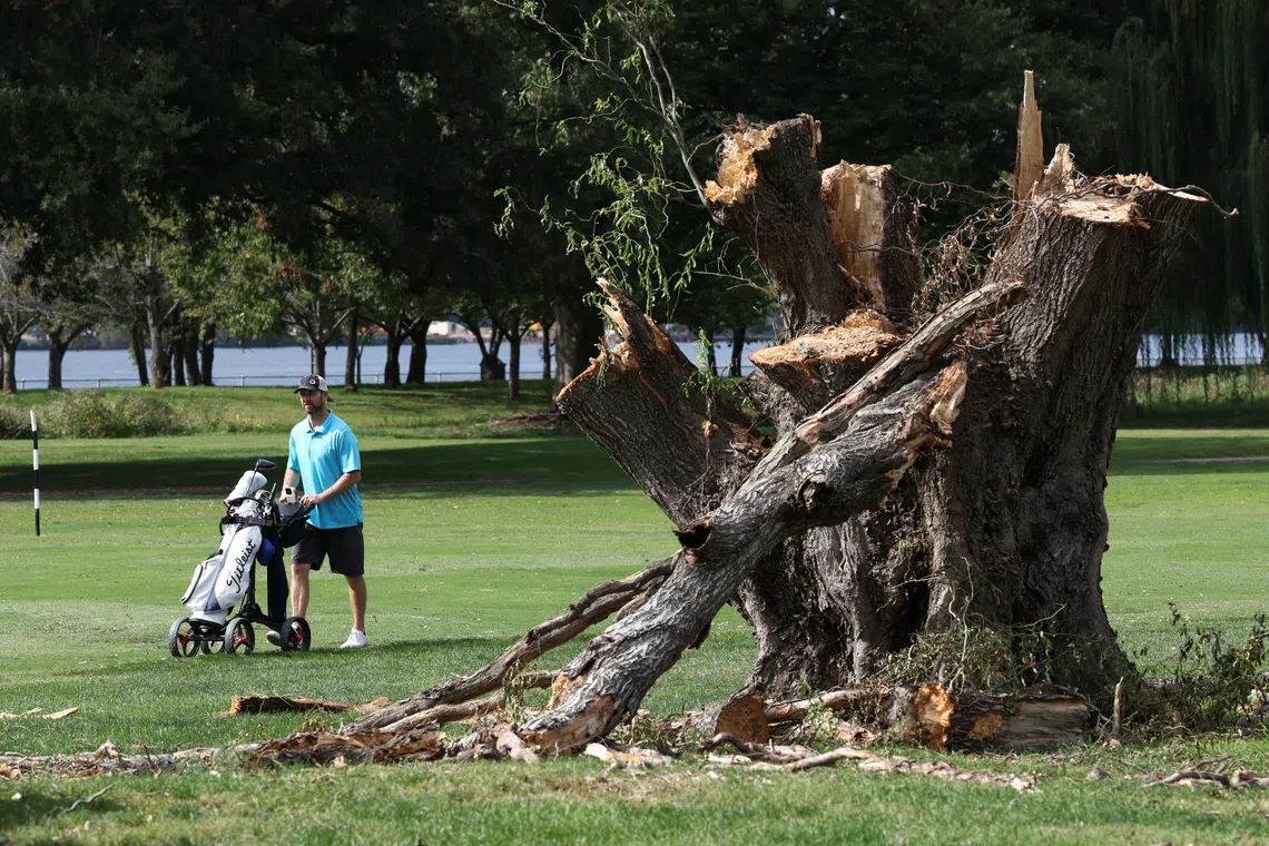 A golfer passes a felled tree after the Trump administration cut down more than 400 trees at the historic East Potomac Golf Links last weekend, in Washington DC.