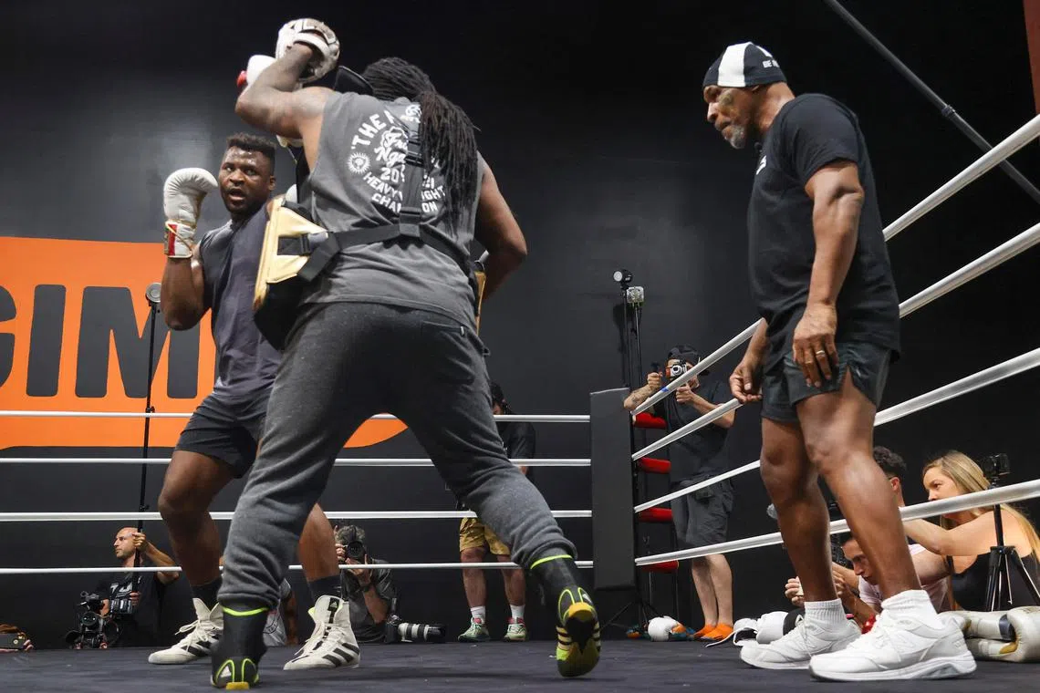 Cameroonian mixed martial arts star Francis Ngannou spars with trainer Dewey Cooper while former US boxer Mike Tyson watches during a training session.