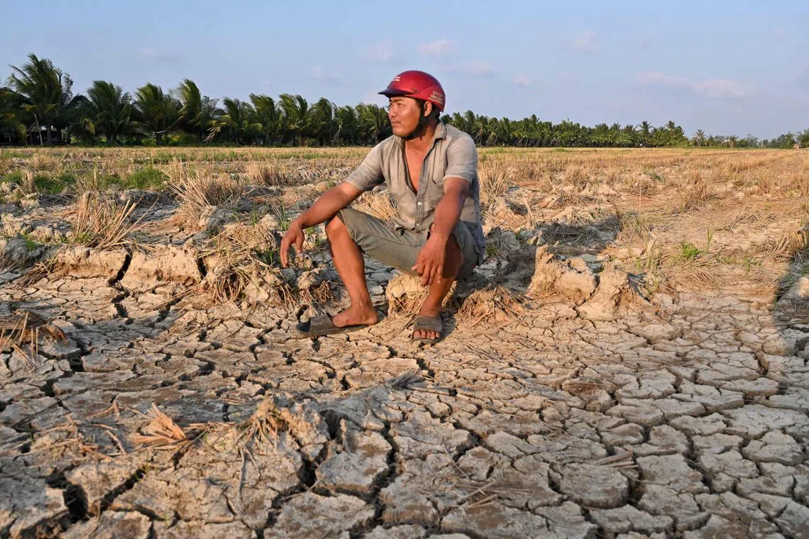 A farmer sits on a dried rice field damaged by drought in Vietnam's southern Ben Tre province.