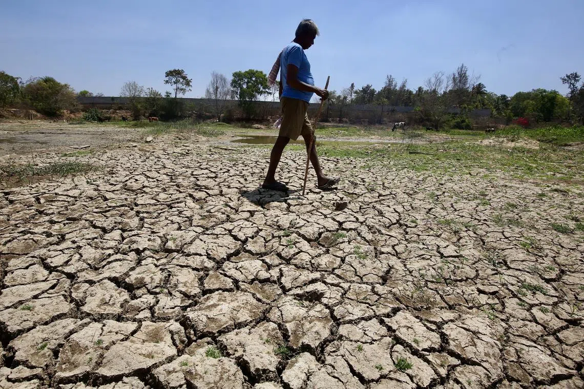 An Indian man walking on the dried Bheemana Keri or Bheeman Lake bed on the outskirts of Bangalore, India March 1, 2024.