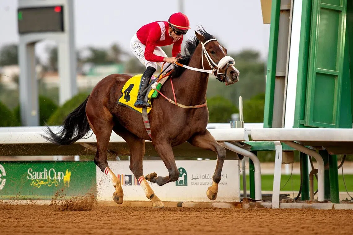Aela Mahlek (Ricardo Ferreira) shedding his maiden status at King Abdulaziz racecourse in Riyadh on Dec 14, 2024. The Abdullah Al Kahtani-trained colt has since doubled his haul with a different rider, but Ferreira will be back aboard in his bid for a third win in Race 8 on Nov 14.

