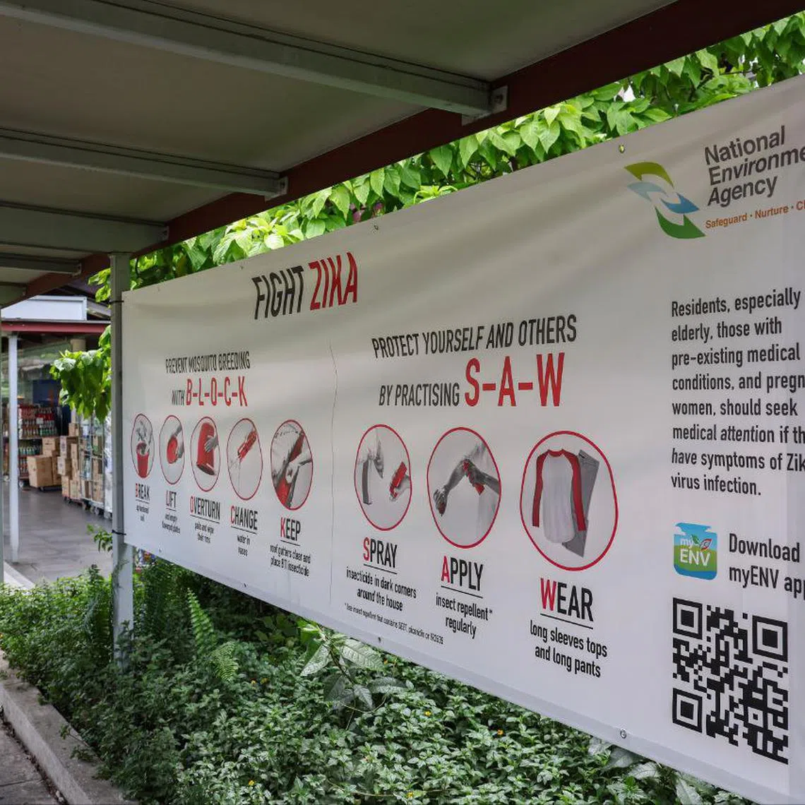 The symptoms of Zika and dengue are similar. The viruses can be differentiated by virological tests.