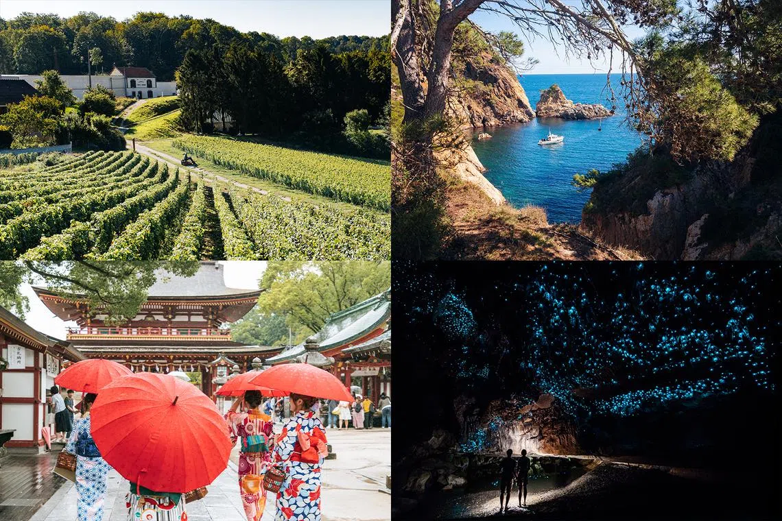 detour-destinations-reims-girona-waitomo-fukuoka 