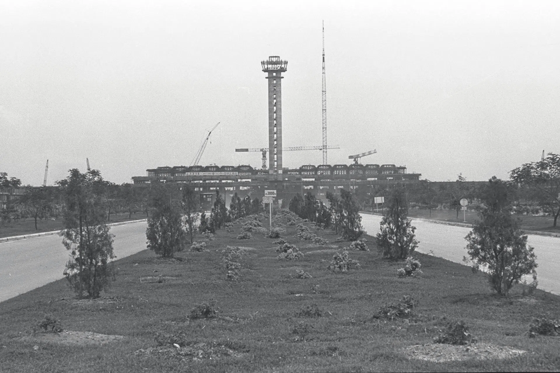 The Changi Airport terminal building is fast taking shape on reclaimed land, with beautiful trees and plants lining the road leading to it. Construction activity was going on at a brisk pace when a Straits Times team visited the site.